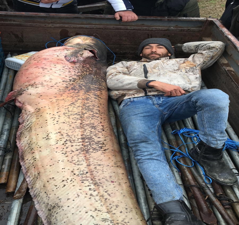 120 kiloluk yayın balığının yanında böyle poz verdiler