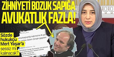 AK Partili Özlem Zengin'e alçak paylaşım!..