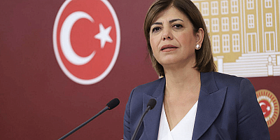 DEM Parti İstanbul adayı Meral Danış: 'Adaylıktan çekilmeyeceğim'