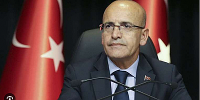 Hazine ve Maliye Bakanı Mehmet Şimşek:Dezenflasyon sürecine gireceğiz