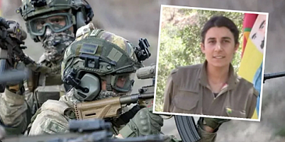 MİT PKK gençlik sorumlusunu Gülsün Silgir'i Süleymaniye'de öldürdü