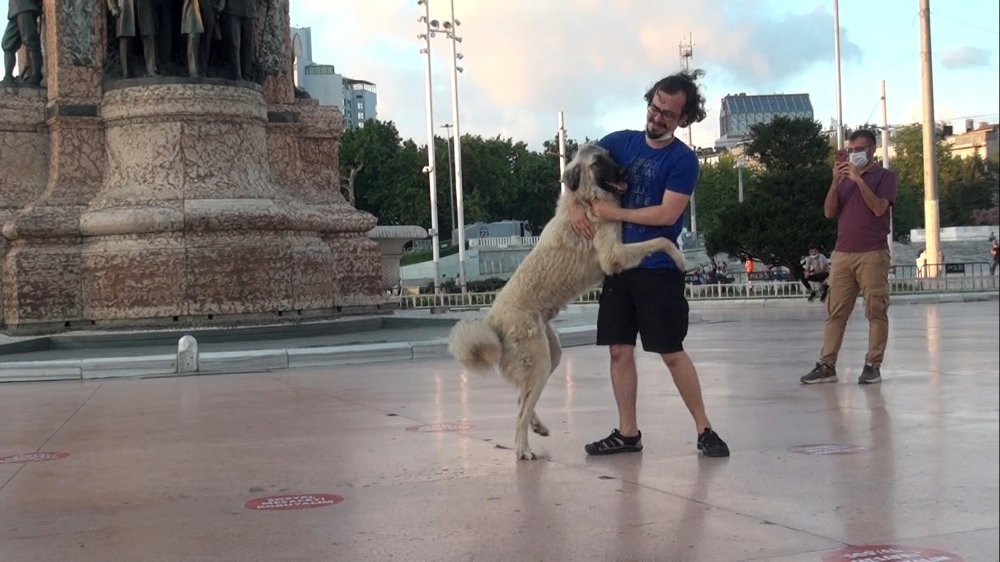 Önce sevdi, sonra kaçtı: Taksim’de vatandaşın köpekle imtihanı