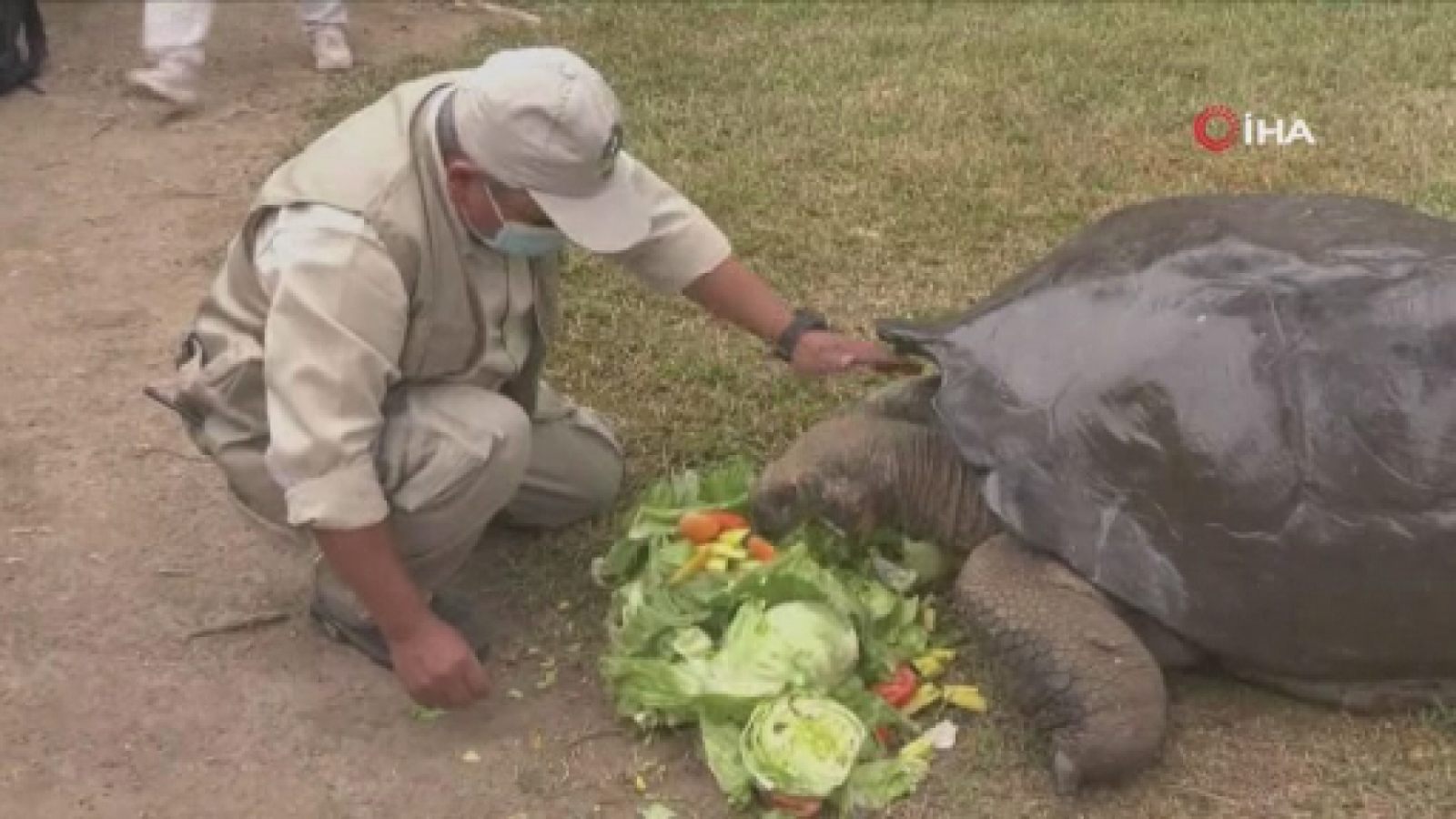 Peru’da 100 yaşını aşkın kaplumbağa ziyaretçilerin ilgi odağı oldu