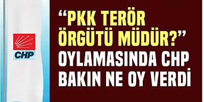 PKK terör örgütü müdür? oylamasında CHP bakın ne oy verdi