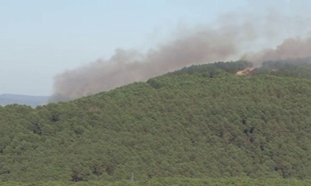 Sancaktepe Aydos Ormanları’nda yangın çıktı