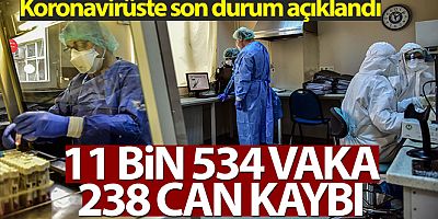 Türkiye'de son 24 saatte 11.534 koronavirüs vakası tespit edildi