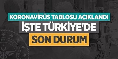Türkiye'de son 24 saatte 28 bin 118 yeni vaka