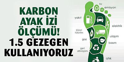 Türkiye, kişi başına karbon salımında 73. sırada