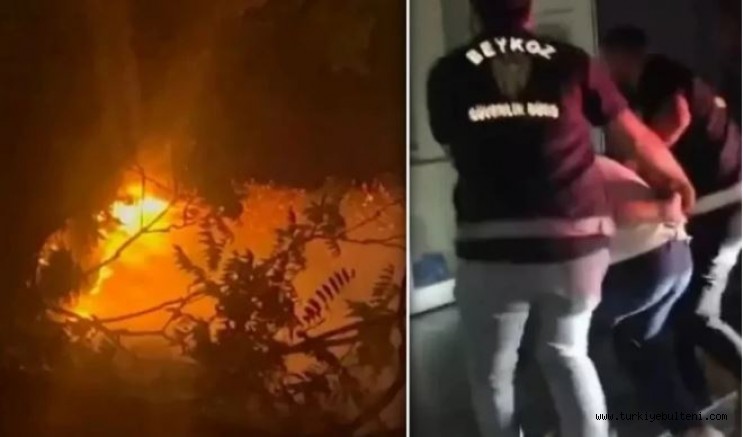 Beykoz’da işaret fişeğiyle yangın çıkaran Alihan A. tutuklandı!