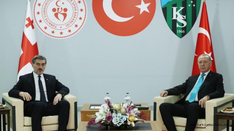 Cumhurbaşkanı Erdoğan ile Gürcistan Cumhurbaşkanı ile görüştü