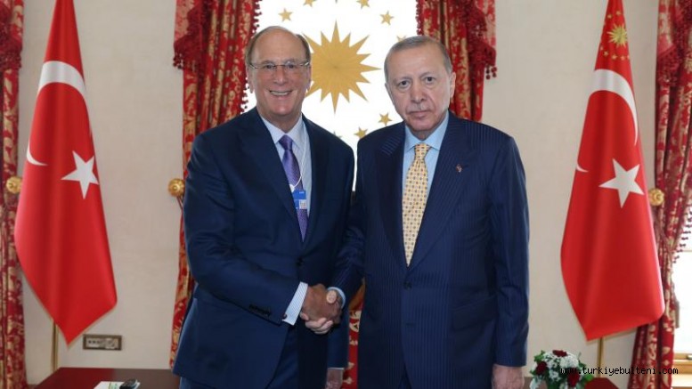 Cumhurbaşkanı Erdoğan WEF Başkanı Fink'i kabul etti