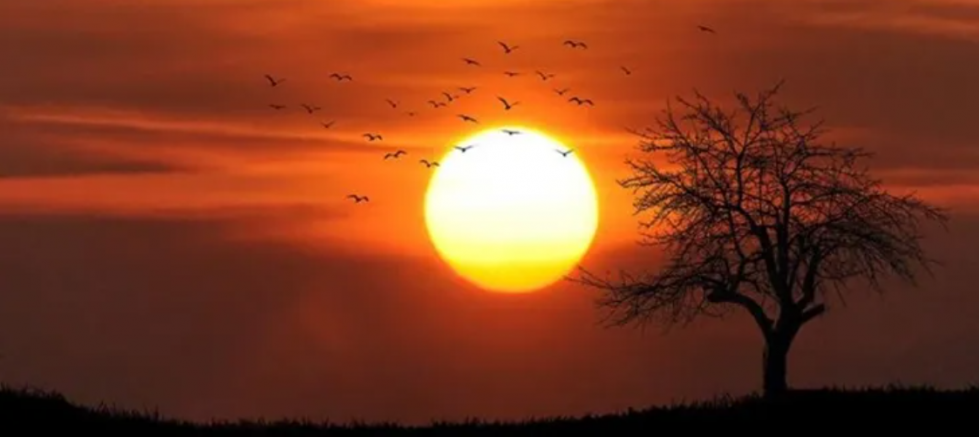 Dünyada 2025, kayıtlardaki en sıcak üçüncü yıl oldu