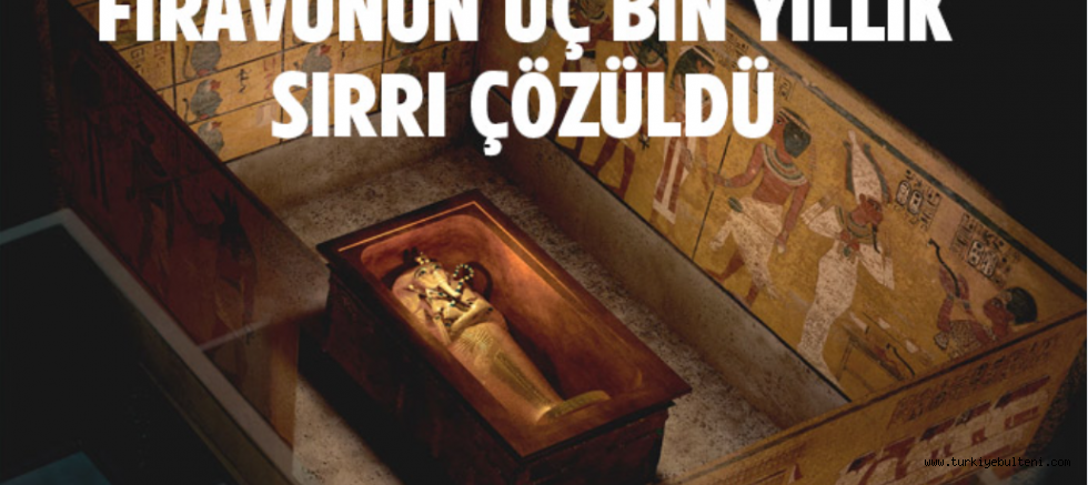 Firavun başka bir mezara gömüldü! 3 bin yıllık sır ortaya çıkardı!