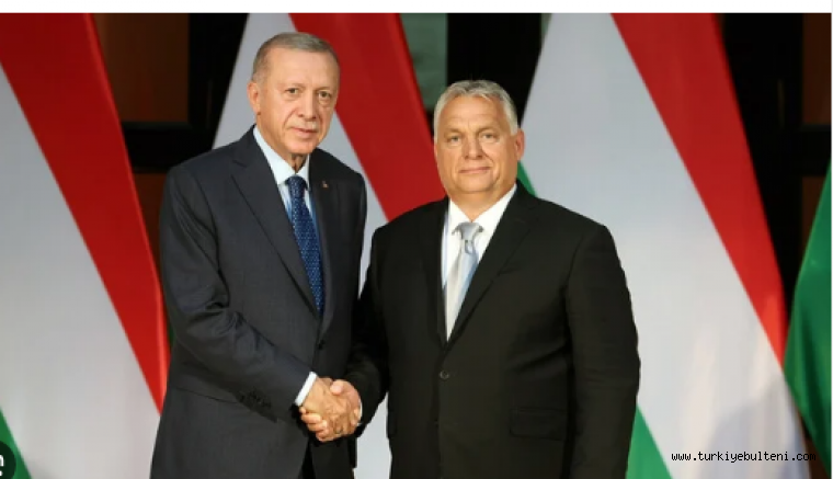Macaristan'dan dikkat çeken Türkiye yorumu