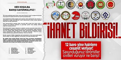12 barodan Pençe Kılıç Harekatı’na karşı ortak açıklama
