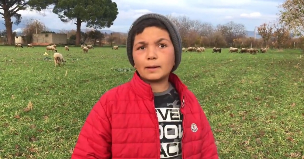 12 yaşındaki fenomen çobanı milyonlar takip ediyor