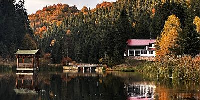 2025'in tarihin en sıcak ikinci yılı olması bekleniyor