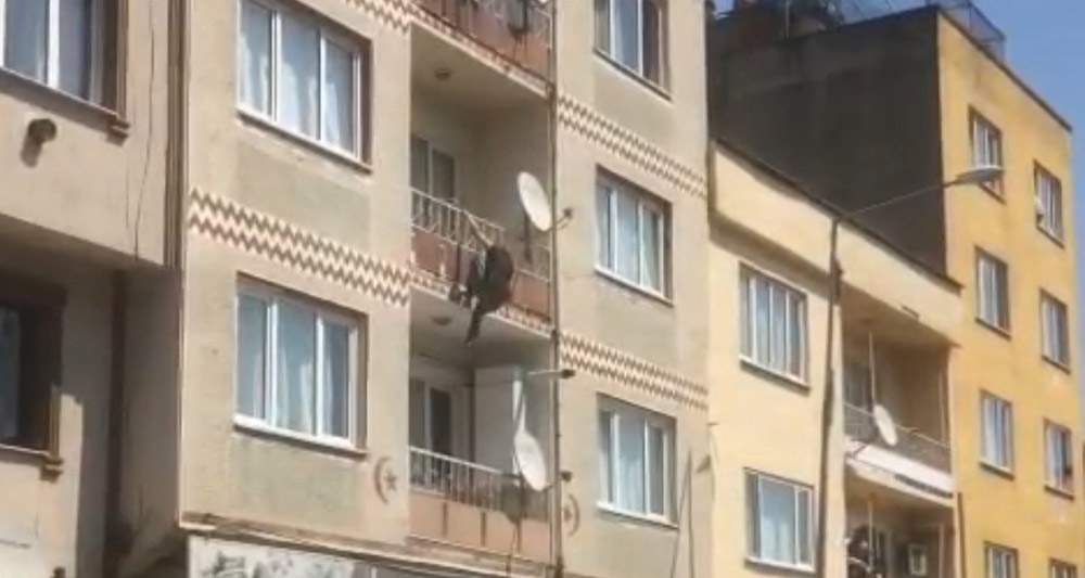 2.kattan böyle atladı, vatandaşın koyduğu yatak sayesinde kurtuldu
