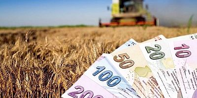 300 milyonluk destek ödemesi duyuruldu