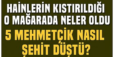 5 askerimizin şehit olduğu saldırının detayları belli oldu!