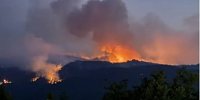 5 ilde orman yangını: Alevlerle mücadele devam ediyor!