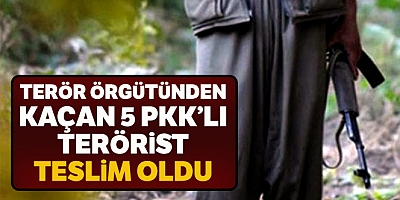 5 Terörist Daha Teslim Oldu