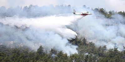 7 ildeki orman yangınları tamamen kontrol altına alındı