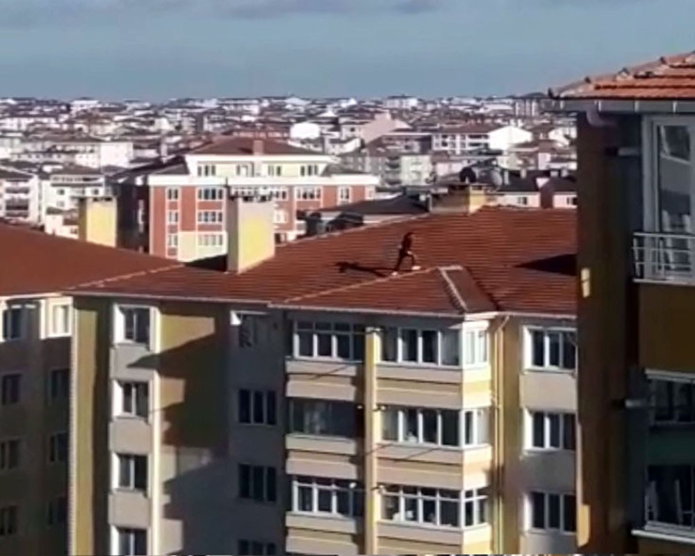 7 katlı binanın çatısına çıkan çocuk yürekli ağza getirdi