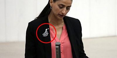 7'li Masa’nın ortağı HDP'li Feleknas Uca kirli planı açıkladı