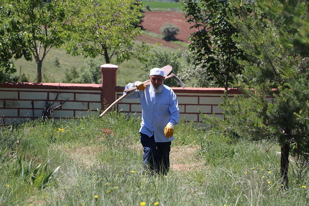 70’lik delikanlı köyüne 8 bin 500 ağaç dikti