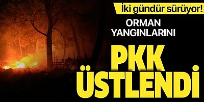 8 ilde 16 ilçede orman yangını! Ormanları PKK'lı alçaklar yakıyor