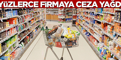896 firmaya ceza yağdı!