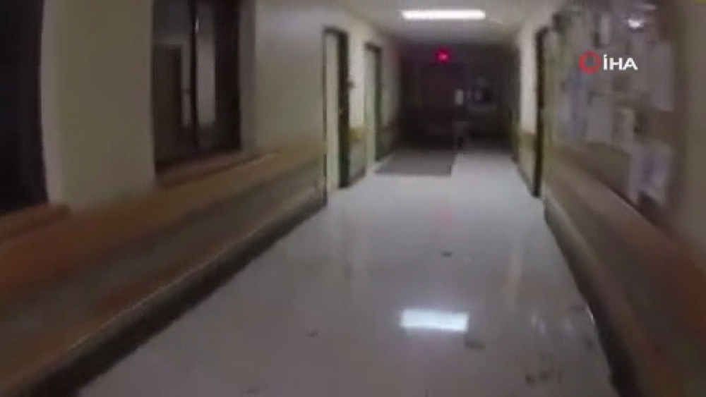 ABD’de huzurevine geyik operasyonu