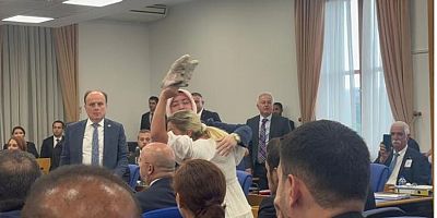 Acılı ailelerden CHP ve TİP'li vekillere tepki: Bunlarda insan sevgisi bile yok