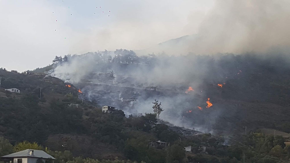 Adana’daki orman yangınına müdahale sürüyor