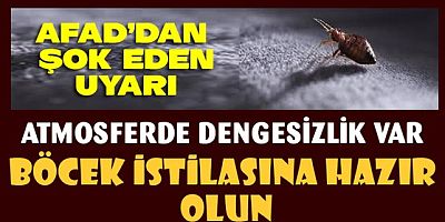 AFAD'dan korkunç uyarı!.. Böcek istilasına hazır olun