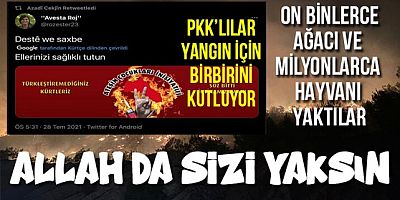 Ağaçları ve milyonlarca canlıyı yakan PKK'lılar birbirini kutluyor