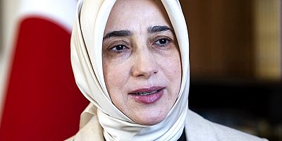 AK Parti'nin yeni Grup Başkanvekili Özlem Zengin oldu