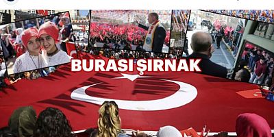 AK Parti Şırnak ve Hakkari'de PKK'yı sarstı