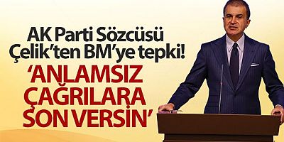 AK Parti Sözcüsü Çelik: 'BM bu anlamsız çağrılara son versin'