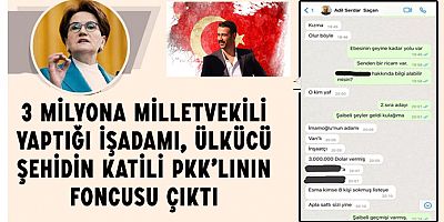 Akşener’in 3 milyon dolara milletvekili yaptığı isim ortaya çıktı!