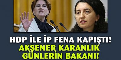 Akşener'in açıklamalarına HDP'den sert cevap
