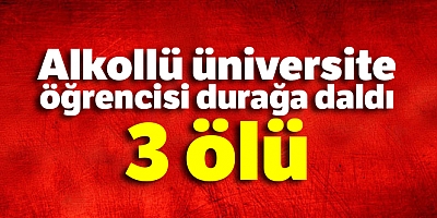 Alkollü Sürücü Durağa Daldı: 3 Ölü