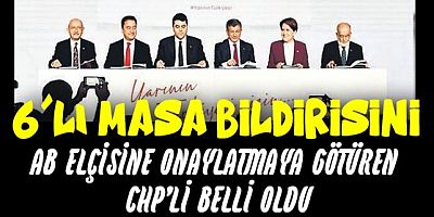 Altılı masa bildirisini AB elçisine onaylatmaya götüren CHP'li belli oldu