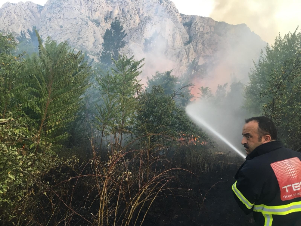 Amasya’da yangın: 5 dönüm alan zarar gördü