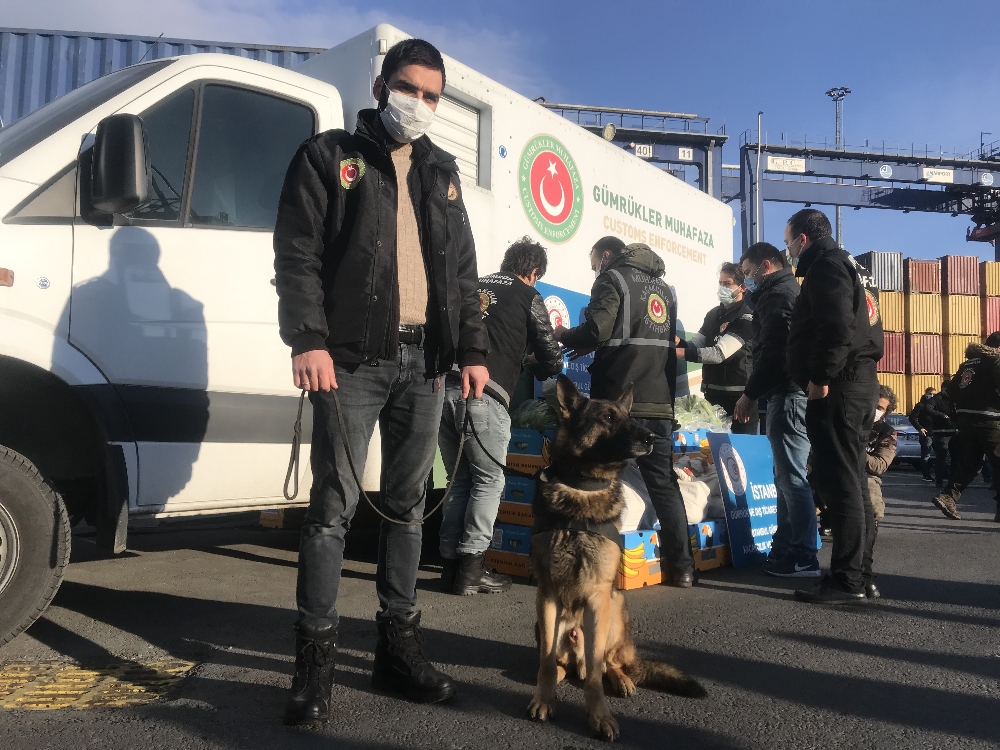 Ambarlı Limanı’nda muz konteynerinden uyuşturucu fışkırdı