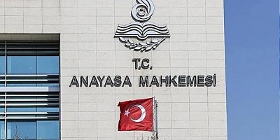 Anayasa Mahkemesi'nden Sokak Hayvanları Düzenlemesine Onay