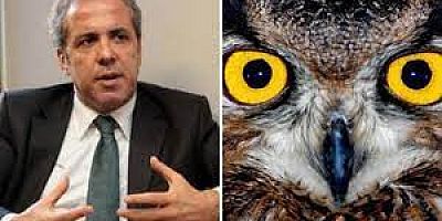 Ankara Kuşu’ iddiası AK Parti’yi karıştırdı! Şamil Tayyar yargı çağrısı yaptı…