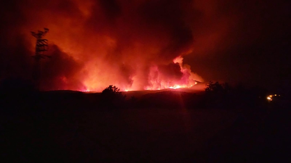 Ankara’da orman yangını