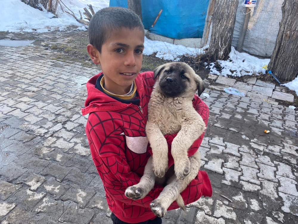 Annesiz kalan yavru köpekler Ağrılı çocukların sevgisiyle hayata tutundu